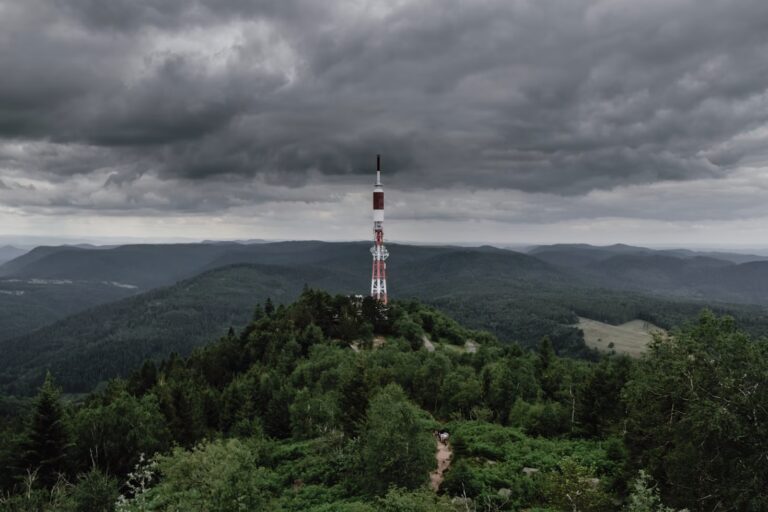 photo-1564932319746-a617dab0b940