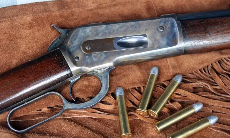 winchester-22-780x470